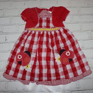 🐞🍓 Ladybug Gingham Dress – Size 4T · Youngland · Picnic Party Ready